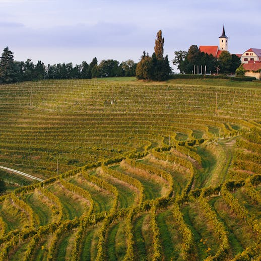 Vinogradniška kmetija Ratek
